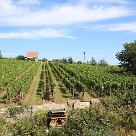 Готель La Belle Alsacienne - Route Des Vins D'Alsace Hattstatt Екстер'єр фото