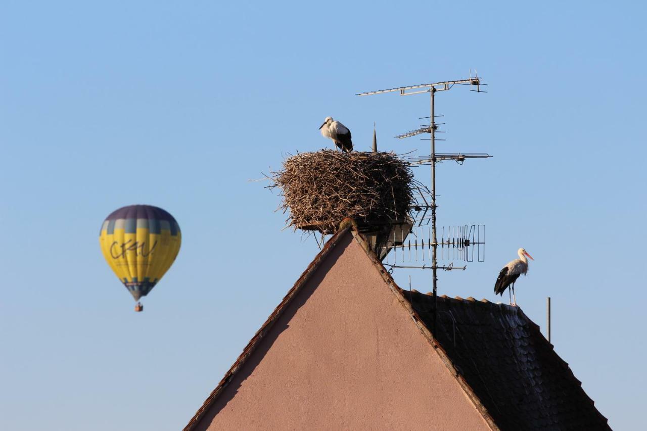 Готель La Belle Alsacienne - Route Des Vins D'Alsace Hattstatt Номер фото