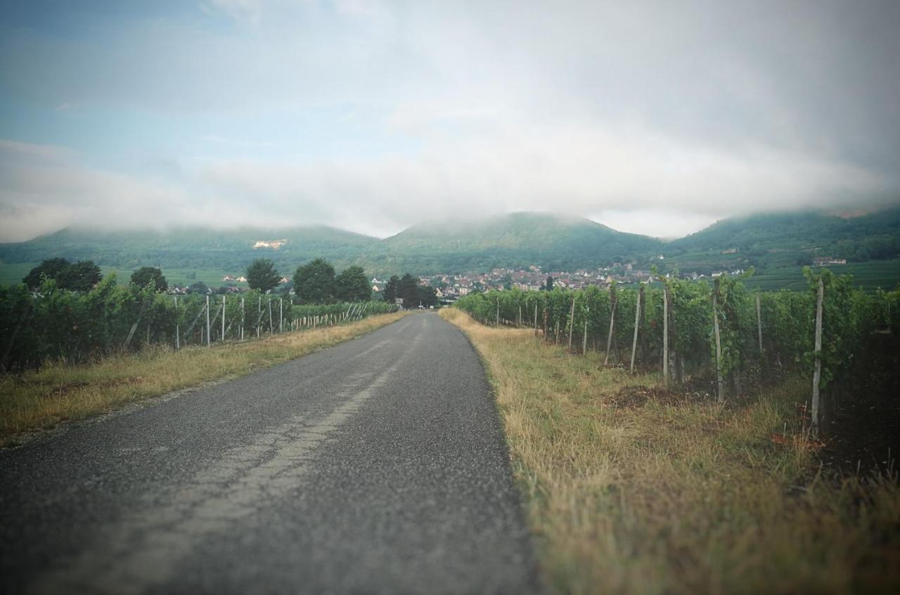 Готель La Belle Alsacienne - Route Des Vins D'Alsace Hattstatt Екстер'єр фото