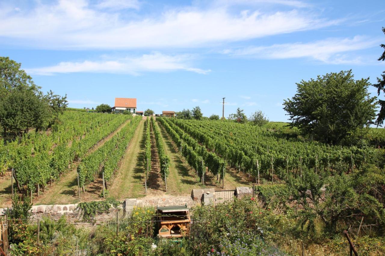 Готель La Belle Alsacienne - Route Des Vins D'Alsace Hattstatt Екстер'єр фото